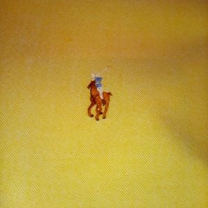 Polo Ralph Lauren button down classic fit oxford